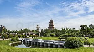 艾弗森ballbet 大丰城市道路绿化规范2022